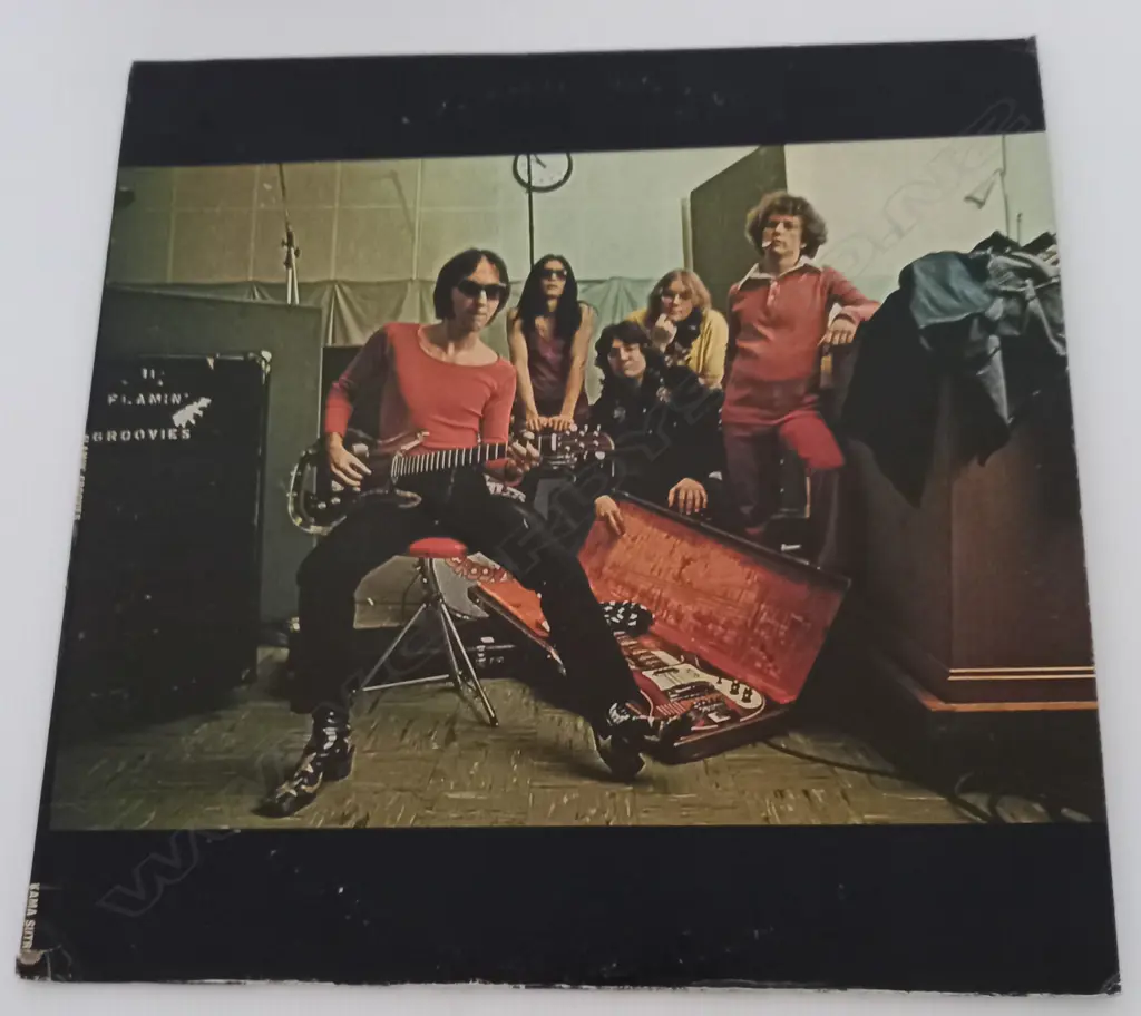 The Flamin' Groovies, Teenage Head Image 1++